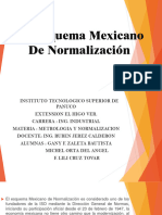 1.3 Esquema Mexicano de Normalización