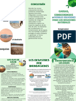 Tríptico Informativo Del Día Mundial de La Educación Ambiental Ilustrado Ve - 20240417 - 122742 - 0000