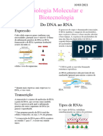 Do DNA Ao RNA