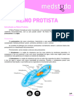 Reino Protista