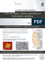 Slides 1 - Metabolismo Aeróbico e Fisiologia Mitocondrial