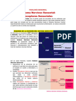 Sensorial I - Receptores Sensoriales