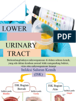 Lower Urinary Tract Infection