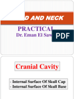 3 - Head and Neck Practical (Cranial Cavity)