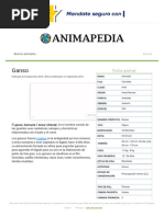 Ganso - Información, Características y Curiosidades