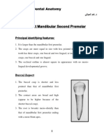 Permanent Mandibular Second Premolar: Dental Anatomy