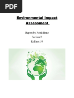 Environmental Impact Assessment Rohit