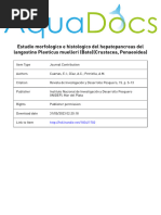 Rev. Invest. Desarr. Pesq. #15 5-13