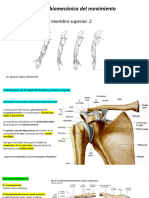 Tema 7.2 Anatomía Miembro Superior 2