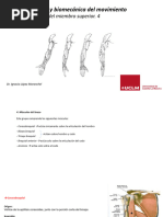 Tema 7.4 Anatomia Miembro Superior 4