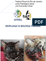 Neoplasias Aula