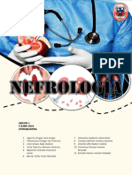 Histologia Del Riñon