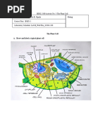 Act 3 The Plant Cell - Laboratory Report