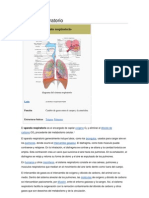 Aparato Respiratorio