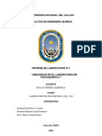 Informe Seguridad Fico I