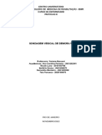 Práticas III APS - Documentos Google PDF