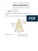 Resumen 1° Parcial Neurofisiologia