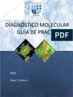 Guía de Diagnóstico Molecular-2024