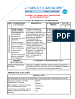 El Sistema Respiratorio