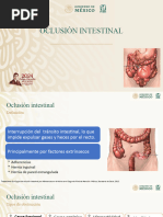 Oclusión Intestinal