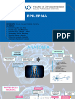 Seminario de Epilepsia Completo