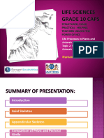  Human Skeleton 