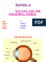 Light-Human Eye and The Colourful World