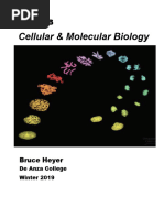 Bio6B Manual W19