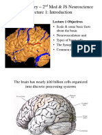 2nd Med-NS 2020 L1