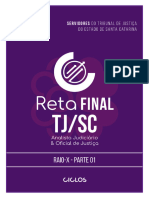 Reta Final TJSC Raiox Parte 1 Ok