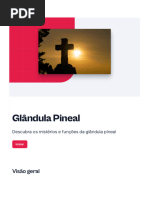 Glandula Pineal