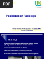 06 Posiciones Radiograficas