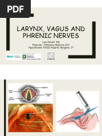 Lesson 5 Larynx. Vagus, Phrenic Nerves