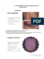 2022.10.15 Medicina Oral .1raclase