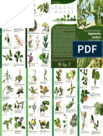 Guía Rápida de Identificación Vegetación Costera Yuc