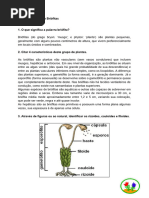 Especialidade de Briófitas