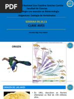 Clase Aves - Semana 9,10,11