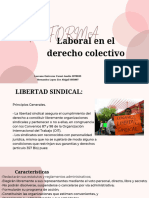 Tema 12 Laboral