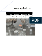 Reporte de Quimica Fenomenos Quimicos