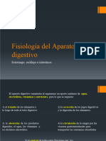 Fisiologia Del A. Digestivo