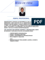 Mario Vaneg Curriculum Vitae