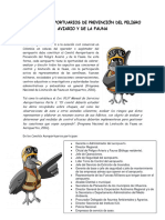 8 (D) Ficha Informativa - Responsabilidades Integrantes Del Comité.