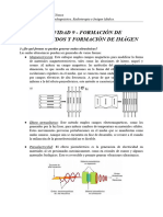 Actividad 9 - Formación de Ultrasonidos y Formación de Imágen