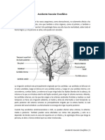 Accidente Vascular Encefálico