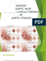 Aortic Valve As1