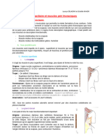 3AN03 Fosse Axillaire Et Muscles Perithoraciques