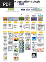 Niveles de Organización de La Biología