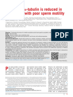 Acetylated - Tubulin Is Reduced in Individuals With P - 2014 - Fertility and Ste