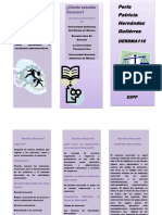 Triptico E2 PP