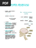 Sistema Nervoso - Central - Perifericco